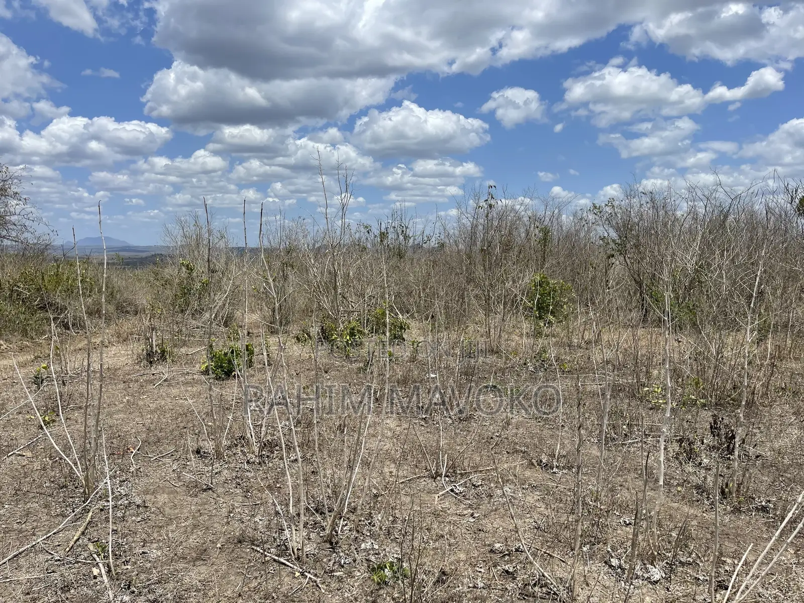 Shamba Linauzwa Eka 200.