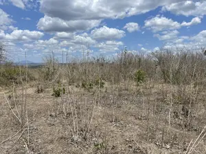 Shamba Linauzwa Eka 200.