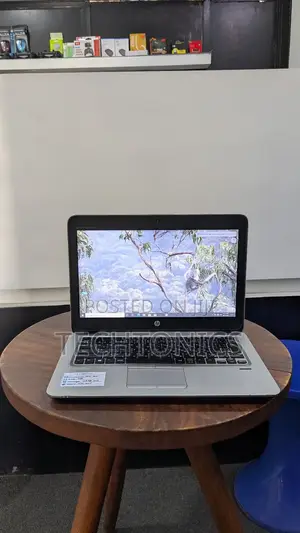 Laptop HP EliteBook 725 G4 4GB AMD A10 SSD 128GB