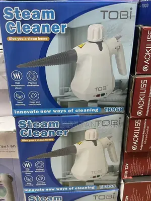 Steam Cleaner for Home Use for Kitchen, Bathroom, Cleaning Floor