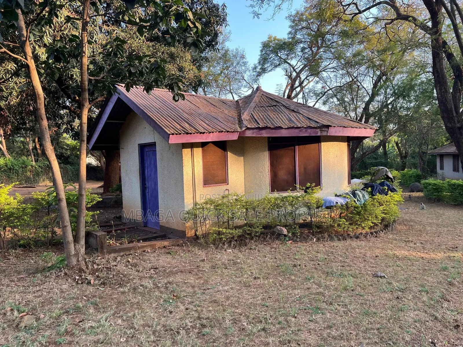 4bdrm Farm House in Moshi for rent