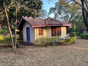 4bdrm Farm House in Moshi for rent