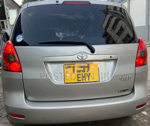 Toyota Corolla Spacio 2006 Gray