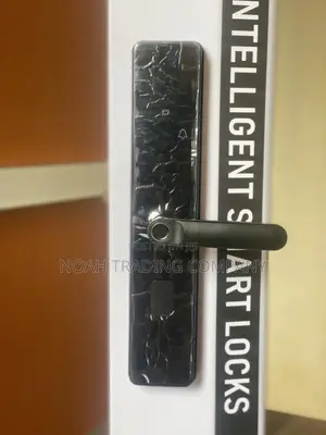Your Trusted Supplier of Smart Locks in Tanzania