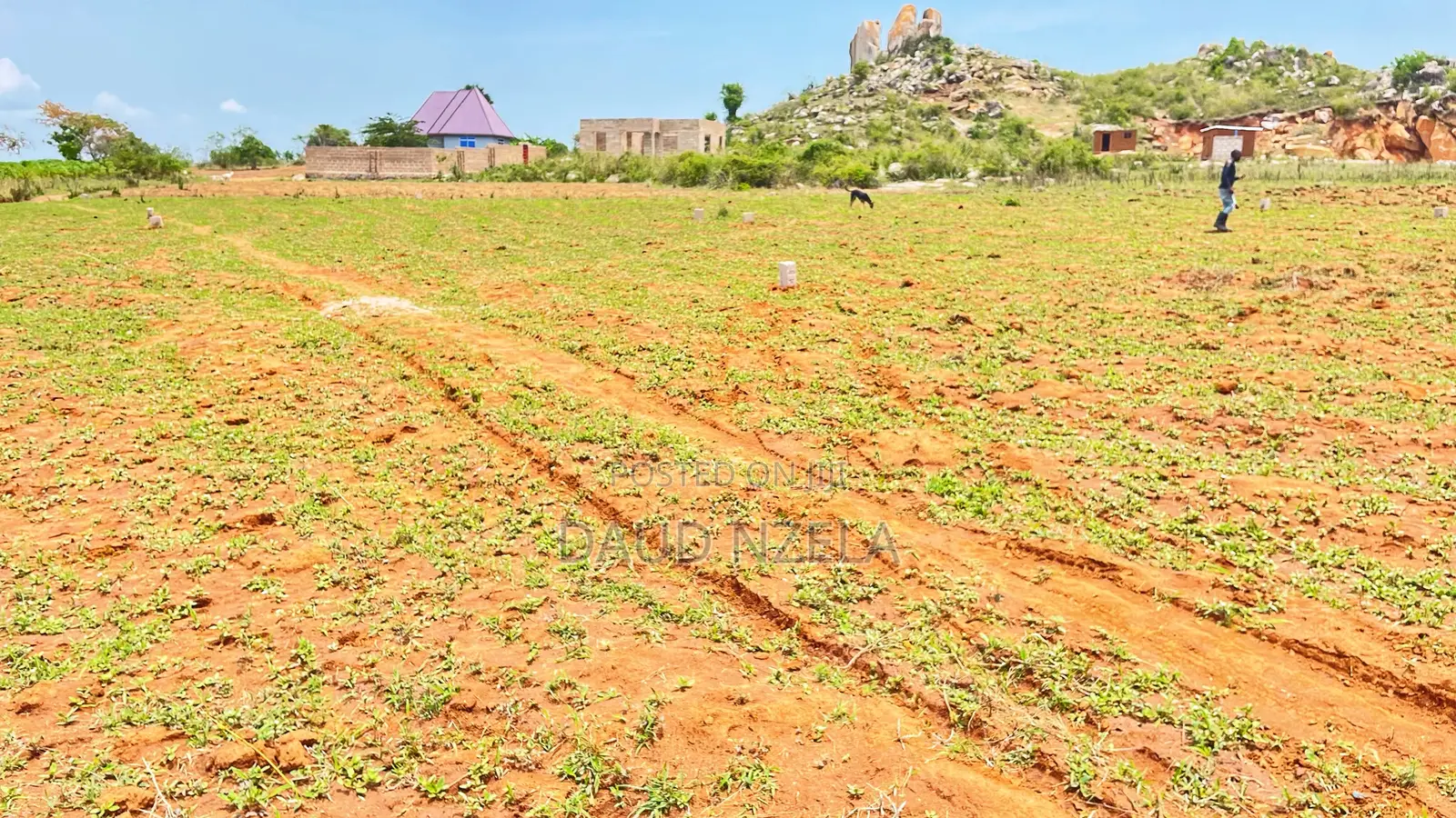 Njoo Ujipatie Viwanja Mwanza Vya Kulipia Kwa Awam