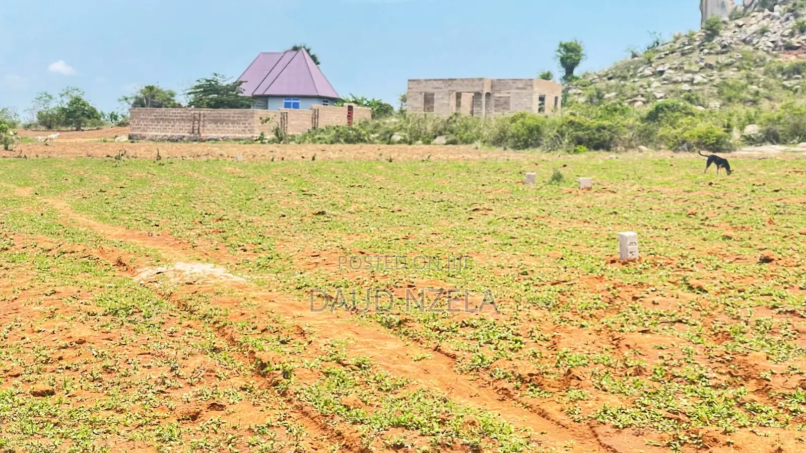 Njoo Ujipatie Viwanja Mwanza Vya Kulipia Kwa Awam