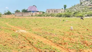 Njoo Ujipatie Viwanja Mwanza Vya Kulipia Kwa Awam