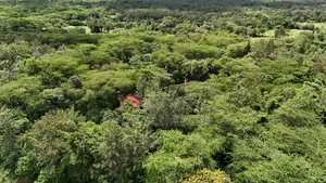 Farm House With Plot
