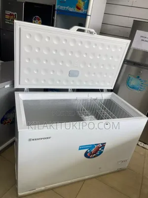 Wbs4325 West Point 400l Freezer