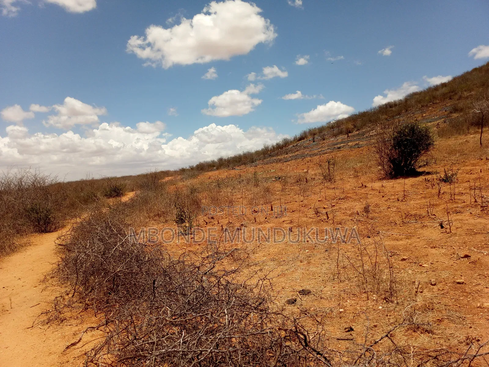 Hekari 4 Zinauzwa Dodoma
