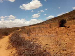 Hekari 4 Zinauzwa Dodoma