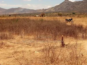 Hekari 4 Zinauzwa Dodoma