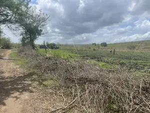 Shamba Linauzwa Lipo Karibu Na Mto