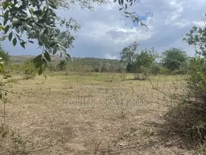 Shamba Linauzwa Lipo Karibu Na Mto