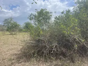 Shamba Linauzwa Lipo Karibu Na Mto