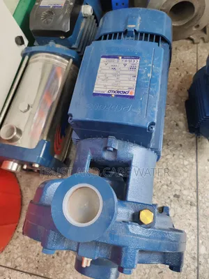 Pedrollo Surface Pump 10hp No.1