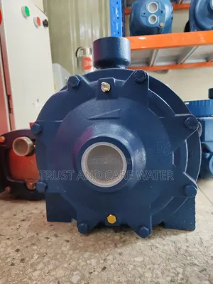 Pedrollo Surface Pump 10hp No.1
