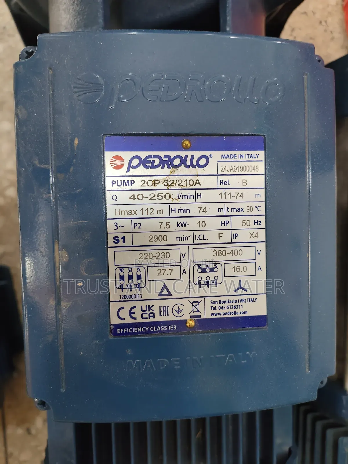 Pedrollo Surface Pump 10hp No.1