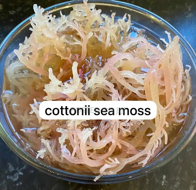 Sea Moss (Mwani)