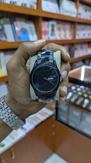 Saa or Watches Water Resistant Stainless Steel Unisex