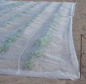 Insect Net
