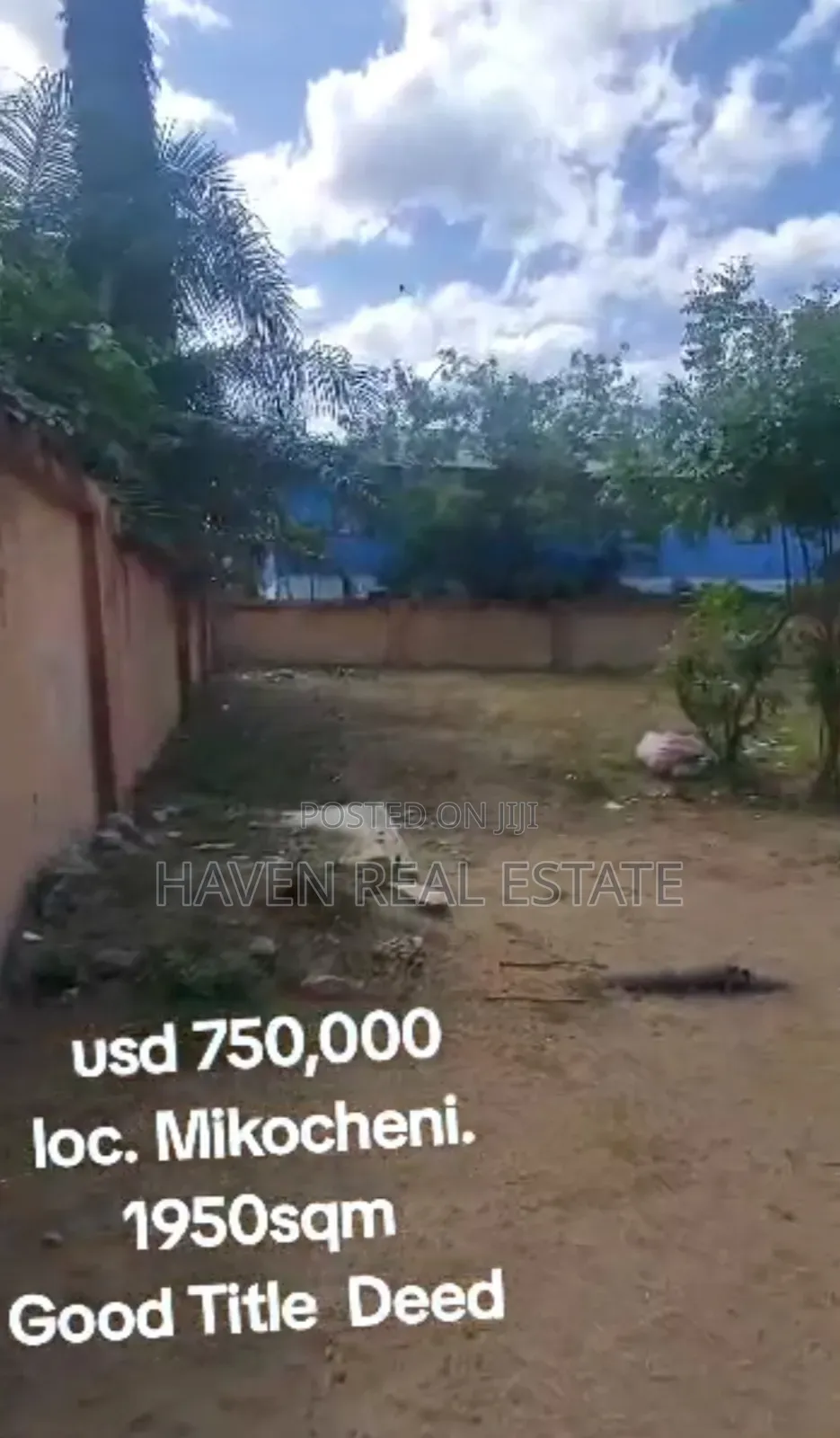 Plot Inauzwa Mikocheni Regent