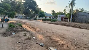 1acre Na Miembe Linauzwa Kongowe