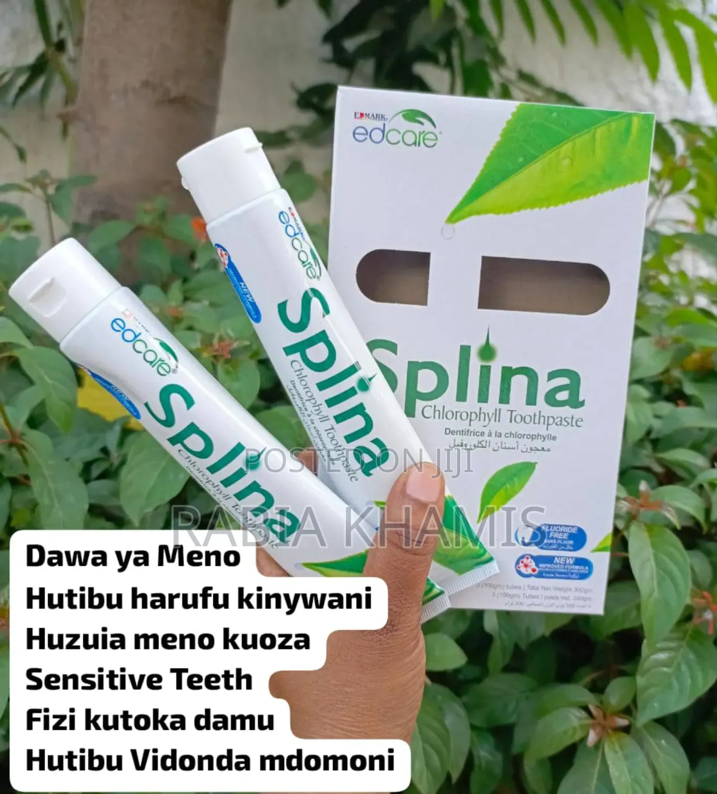 Splina Chlorophyll Toothpaste