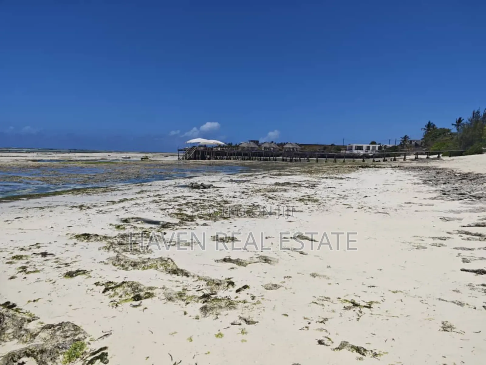 Beach Plot for Sale at Zanzibar