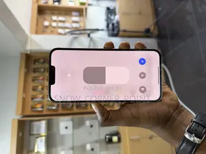Apple iPhone 13 Pro Max 256 GB White