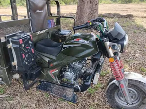 Shineray XY250-7 2025 Green