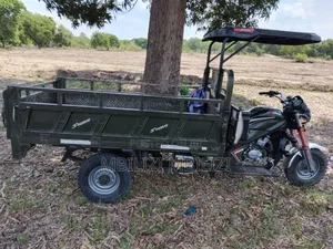 Shineray XY250-7 2025 Green