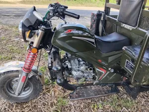 Shineray XY250-7 2025 Green