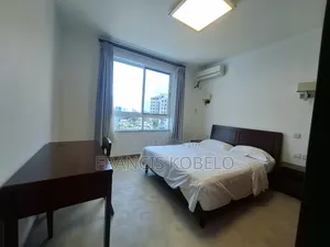 Furnished 2bdrm Apartment in Upanga East for rent