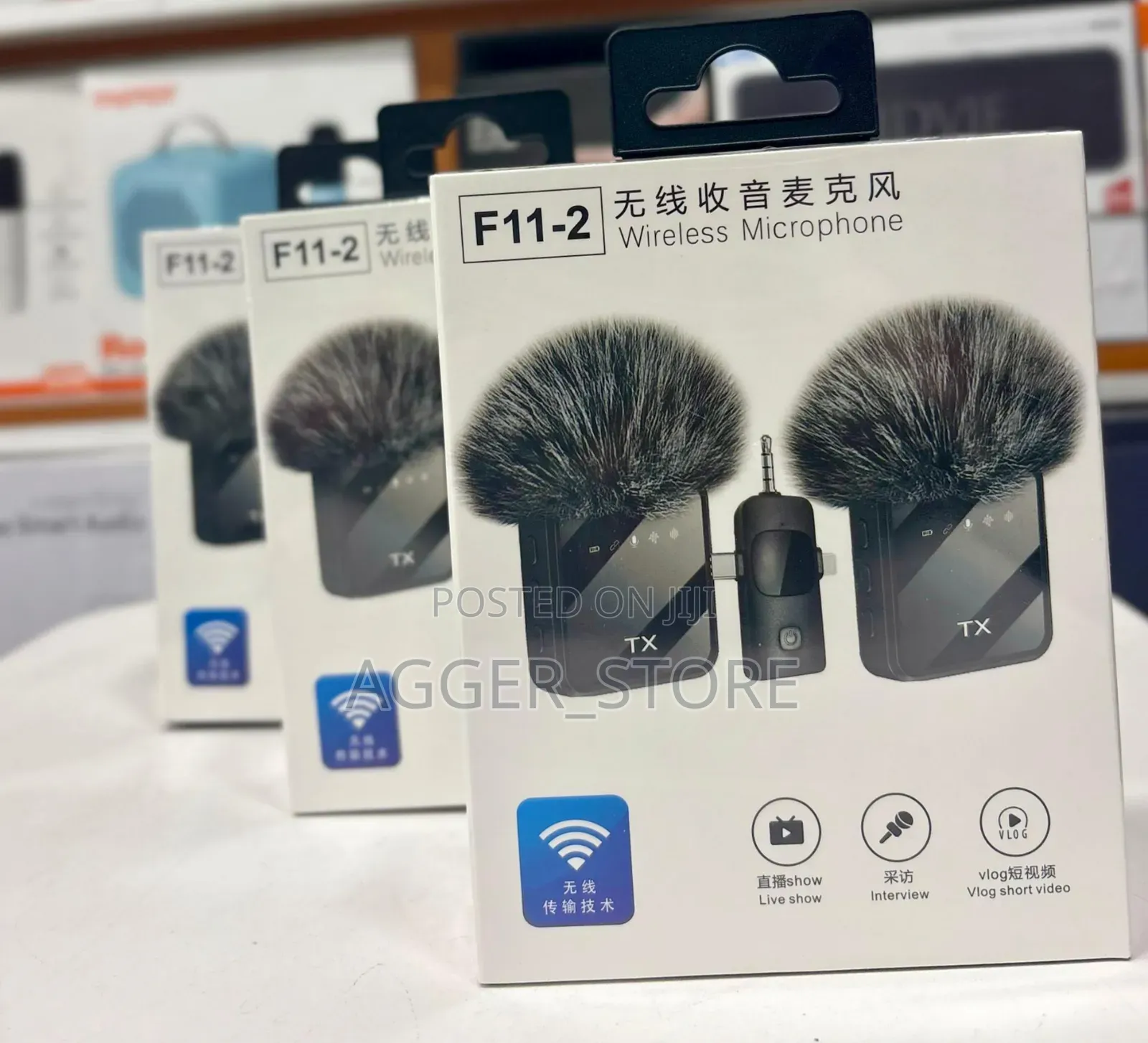 F11-2 Wireless Microphone (2mics)
