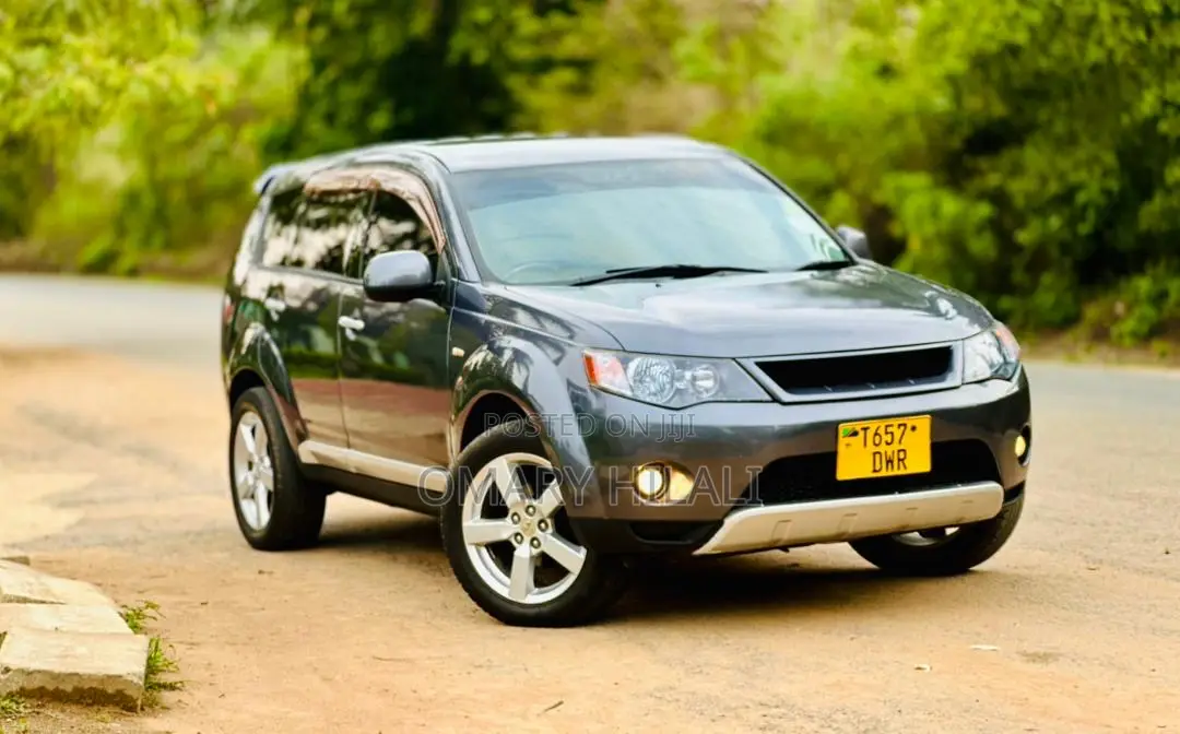 Mitsubishi Outlander 2008 Gray