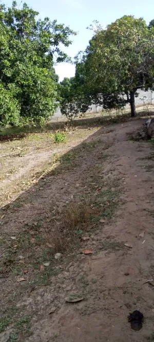 Plot for Sale at Bagamoyo Industrial Area
