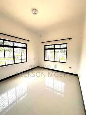 3bdrm Apartment in Dalali Nick Mwanza for rent