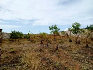 Plot for Sale TSH 65 Millions Located in Tegeta Wazo, Dar Es Salaam
