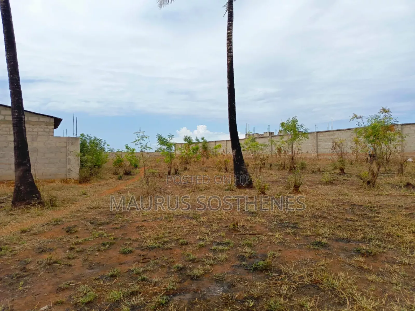 Plot for Sale TSH 65 Millions Located in Tegeta Wazo, Dar Es Salaam