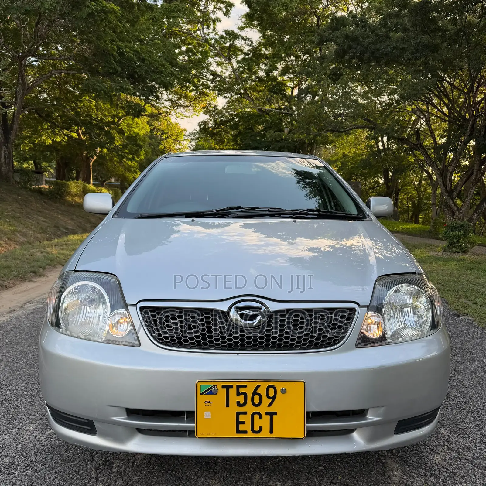 Toyota Corolla RunX 2004 Silver