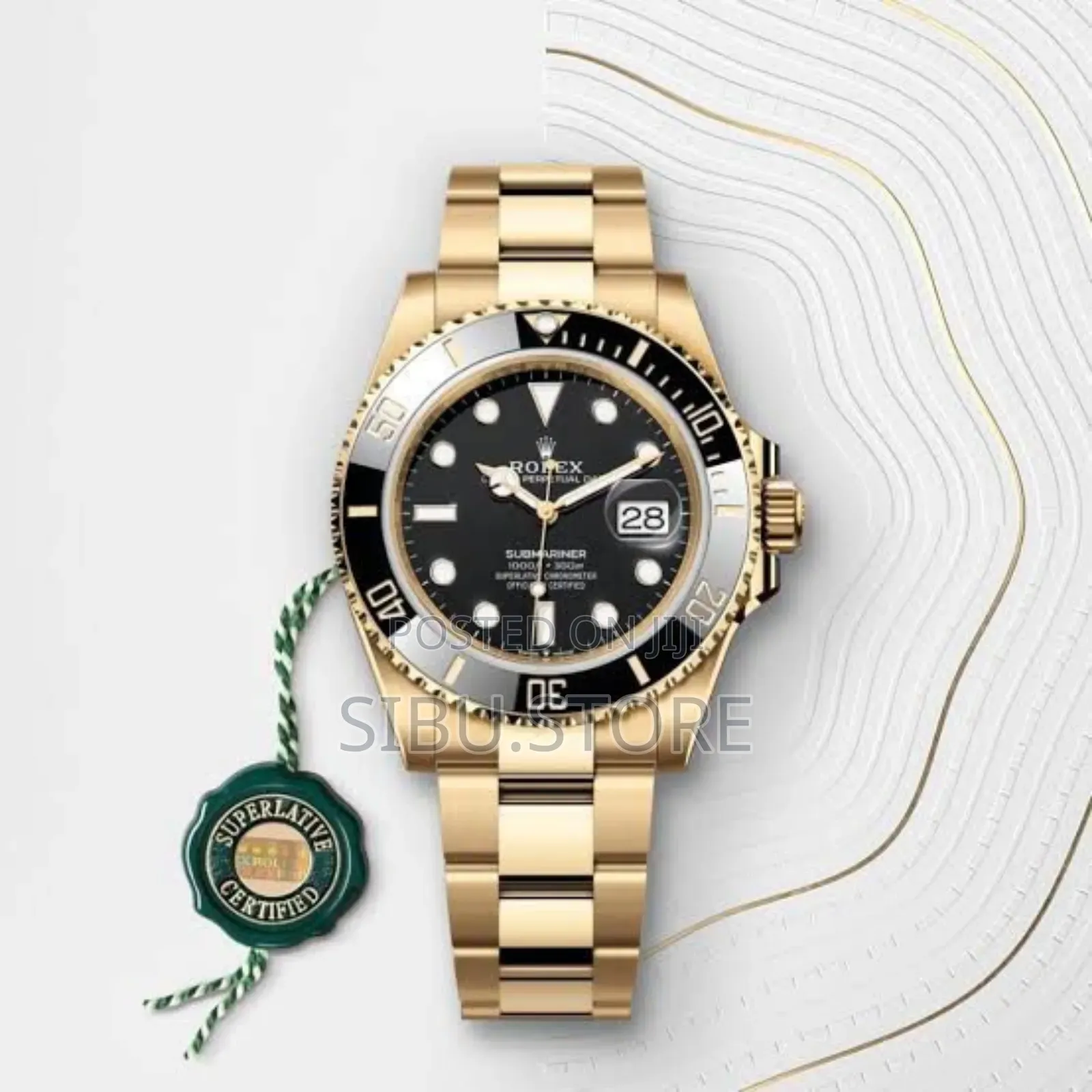 Divers Watch
