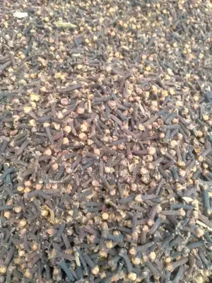 Karafuu (Cloves)