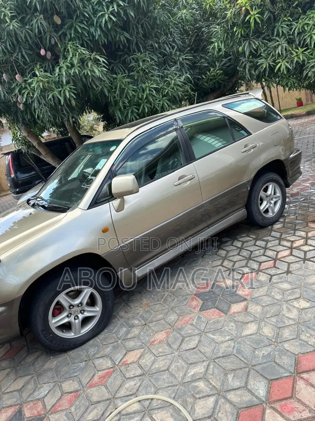 Toyota Harrier 2006 Gold