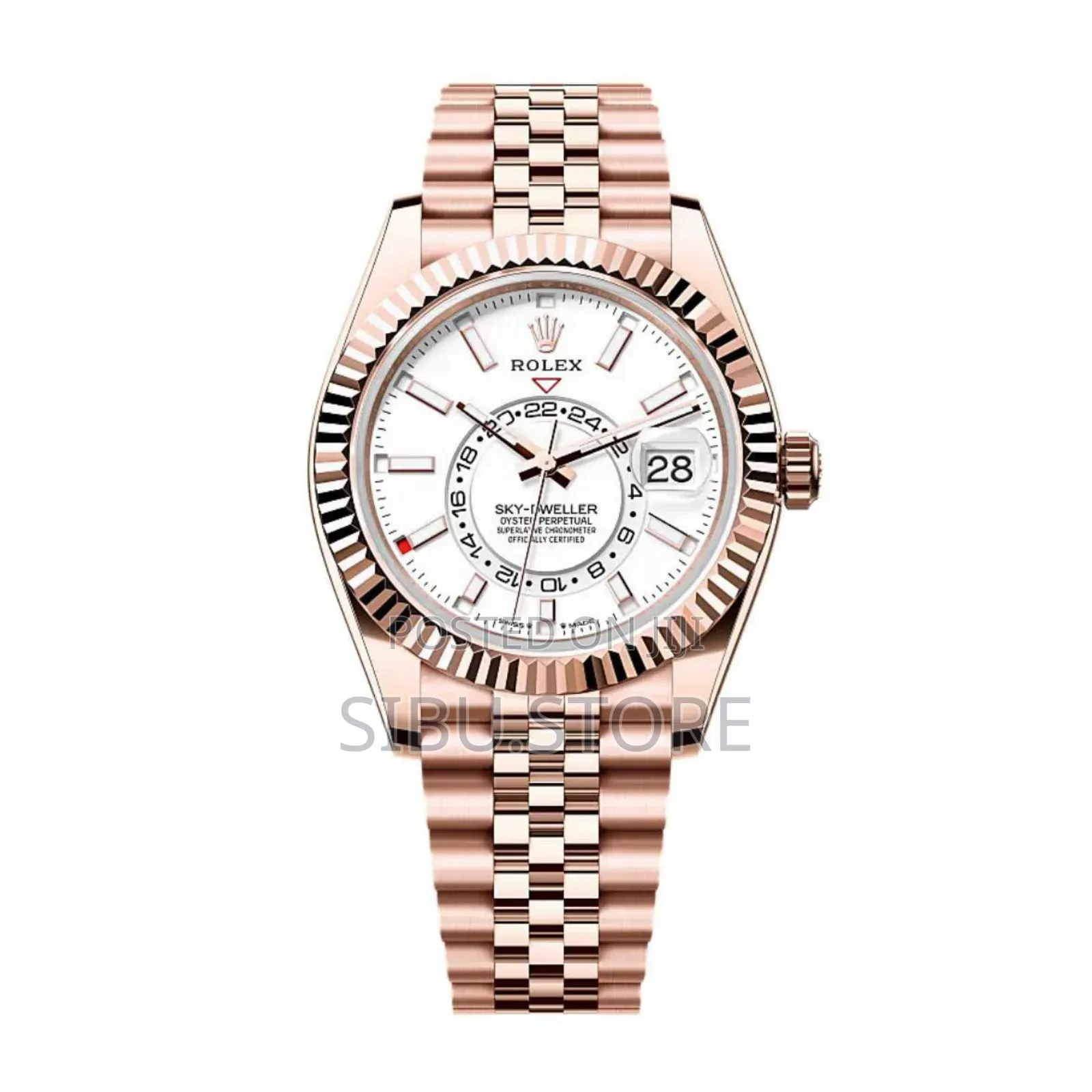 Sky-Dweller Watch