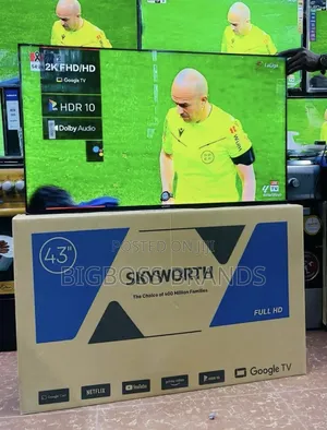 Skworth Inch 43 Smart Google Tv