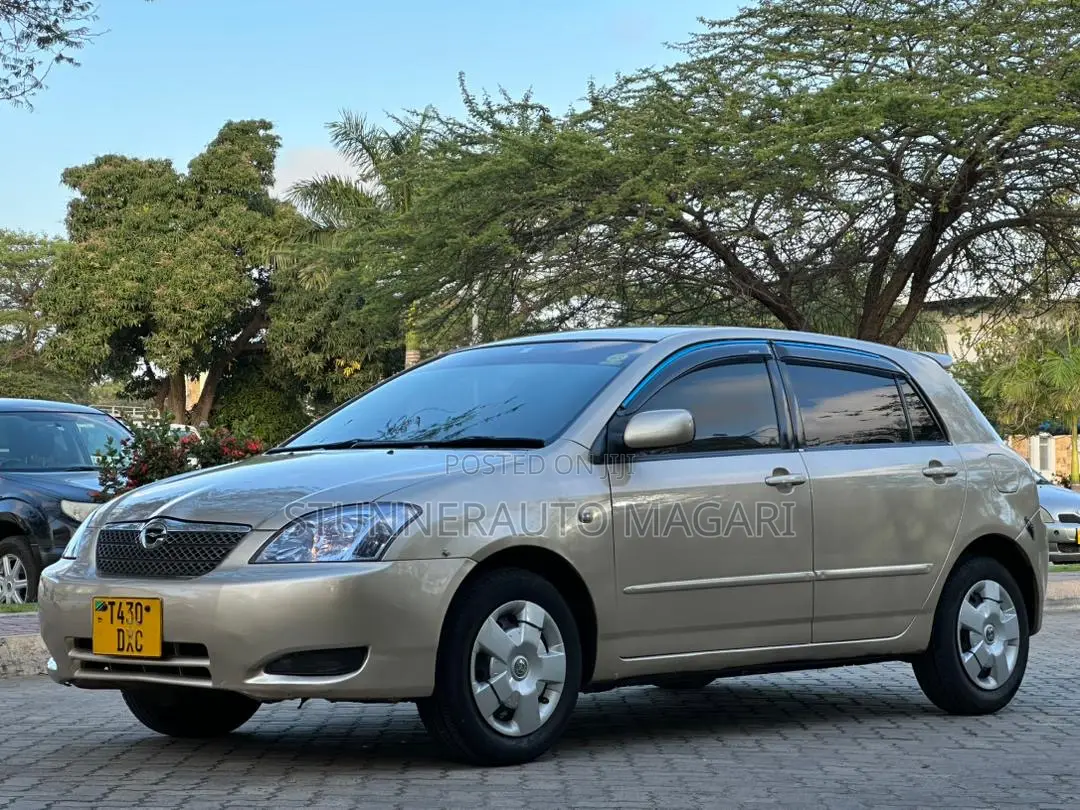 Toyota Corolla RunX 2004 Gold