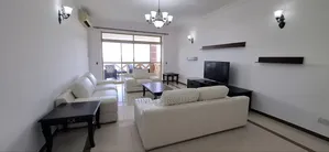 Furnished 3bdrm Apartment in Masaki for rent
