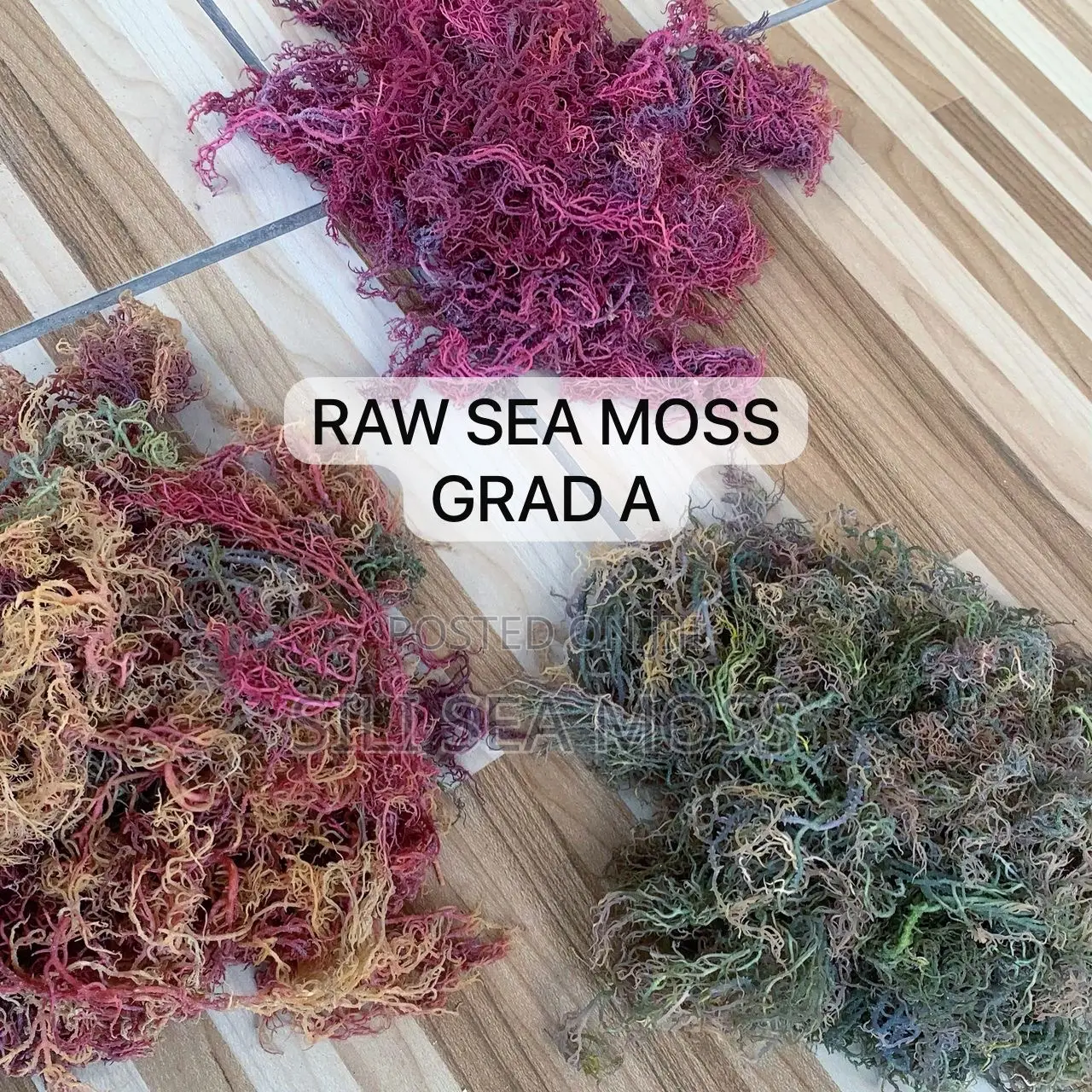 Wholesale Best Quality Raw-Sea Moss