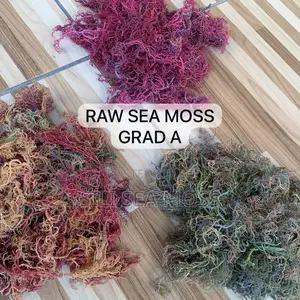 Wholesale Best Quality Raw-Sea Moss